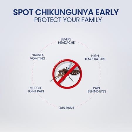 Once Rapid Chikungunya Diy Home Detection Kit | Instant Blood Test Kit | In-Vitro Diagnostic