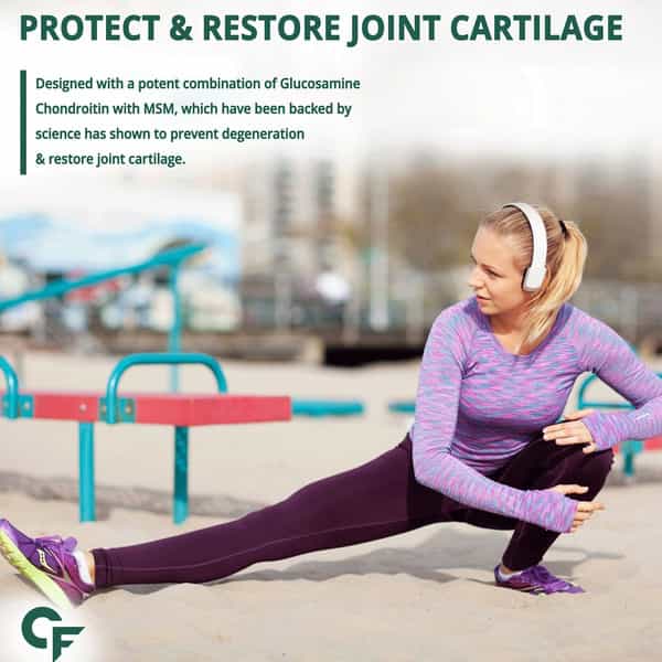 Carbamide Forte Joint Support Supplement| Glucosamine Chondroitin 60 Tablets