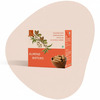 The Snack Company Almond Bistick 130 Gm | Wheat Biscuit | No Palm Oil | No Refined Sugar