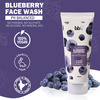 Bbx Skincare Essentials Blueberry Facewash 100Ml