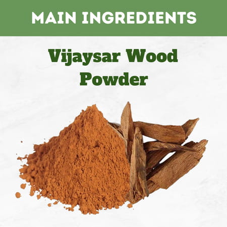 Herbal Hills Vijaysar Powder - 1kg - Pack Of 2