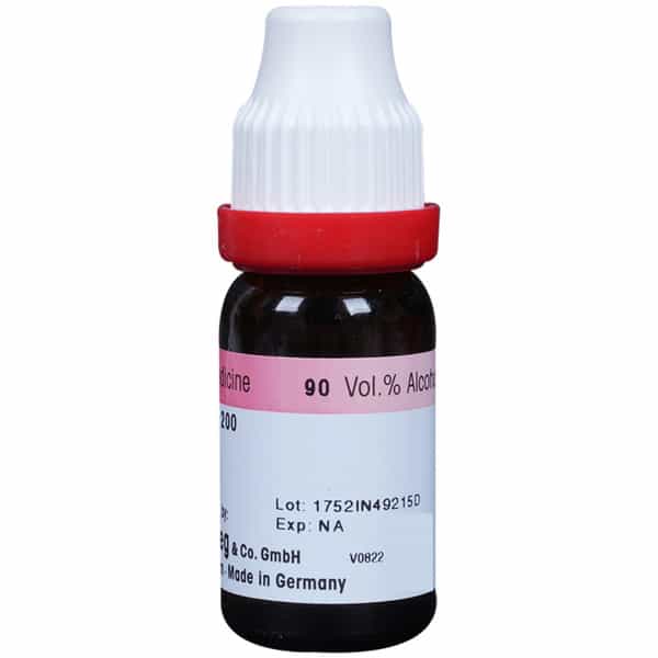 Dr. Reckeweg Arnica Mont Dilution 200 Ch 11 Ml