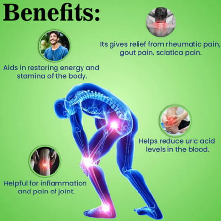 Cipzer Majun-E-Flasifa 125g | Supports Energy| Stamina & Kidney Wellness