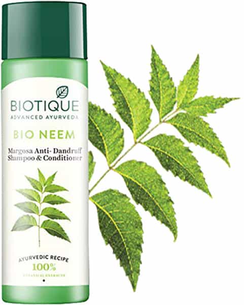 Biotique Bio Neem Margosa Anti Dandurff Shamoo And Conditioner 120 Ml