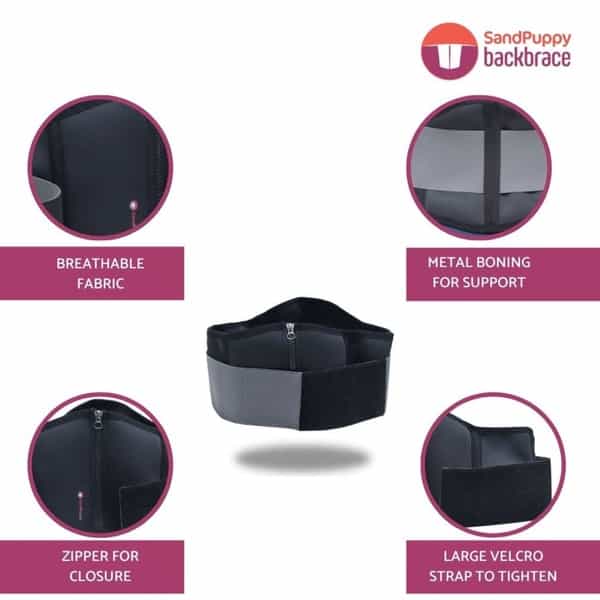 Sandpuppy Backbrace L - Flexible Back Support Belt |Lumbar Support Belt |Stabilizes Back