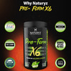 Naturyz Pre-Form X6 Pre Workout Supplement With 19 Nutrients For Pump | Power & Energy (400 Grams)