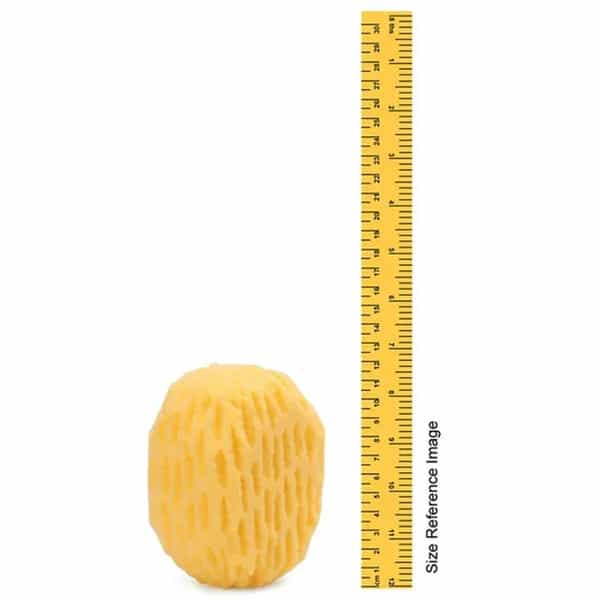 Adore Egg Shaped Bath Sponge