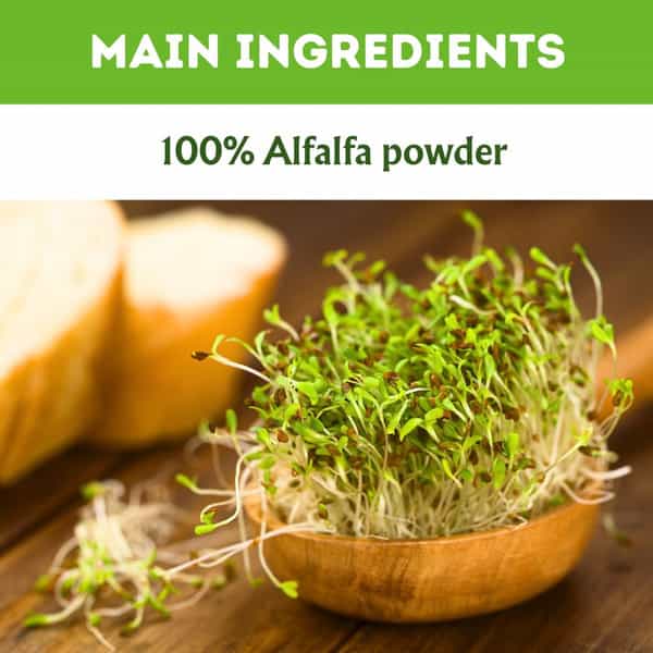 Herbal Hills Alfalfa Powder Pure & Natural Supports Nutrition 1Kg Powder