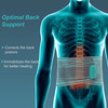 Tynor Lumbo Sacral Belt L 1 No's