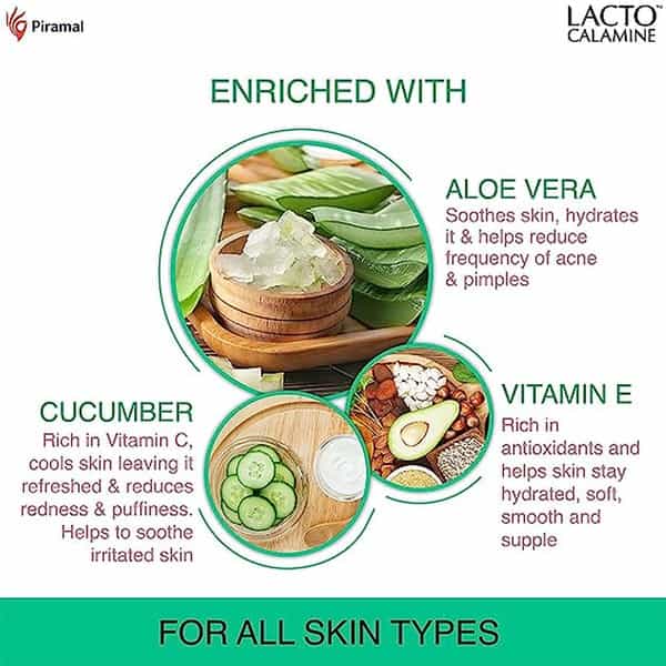 Lacto Calamine Daily Cleansing Wipes (Pack Of 12 X 25 Wipes) | White