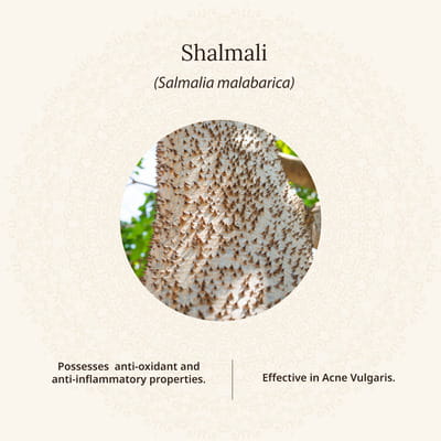 View product image 6