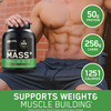 Optimum Nutrition (On) Serious Mass High Protein High Calorie Weight Gainer Powder - 1kg Chocolate
