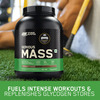 Optimum Nutrition (On) Serious Mass High Protein High Calorie Weight Gainer Powder - 1kg Chocolate