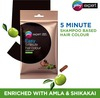 Godrej Expert Easy 5 Minute Hair Colour Sachet Natural Brown - Pack Of 3