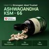 Rasayanam Ashwagandha Ksm-66 Capsules For Stress | Energy & Recovery (60 Capsules | Pack Of 1)