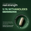 Rasayanam Ashwagandha Ksm-66 Capsules For Stress | Energy & Recovery (60 Capsules | Pack Of 1)