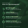 Rasayanam Ashwagandha Ksm-66 Capsules For Stress | Energy & Recovery (60 Capsules | Pack Of 1)