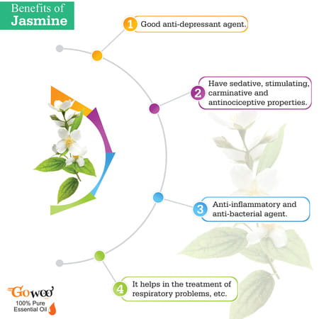 Go Woo 100% Pure Jasmine Sambac Oils For Hair Skin & Aromatherapy 100% Pure & Virgin Oils 30 Ml