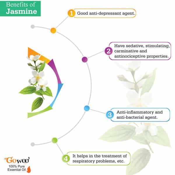 Go Woo 100% Pure Jasmine Sambac Oils For Hair Skin & Aromatherapy 100% Pure & Virgin Oils 30 Ml