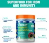 Fast&Up Organic Spirulina Plus Wheatgrass Beetroot - Iron Immunity - Plant Based Powder - 300G