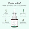 Puraroma Allergy Protection Nasal Spray - 15 Ml