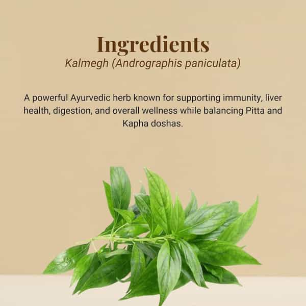 Sushain Kalmegh Extract Capsules Bottle Of 120 Capsule