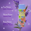 Ossa Vision Flowers Body Spray | Musky | Floral And Citrusy Notes | For Women | 200ml