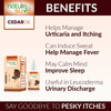 Nature Sure Cedar Oil Deodar Oil For Itching And Urticaria In Men & Women - 1 Pack (30Ml)