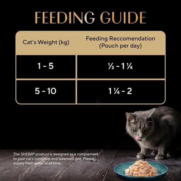 Sheba Rich Premium Adult (1+ Years) Wet Cat Food | Skipjack & Salmon Flavour | 12 X 35 G