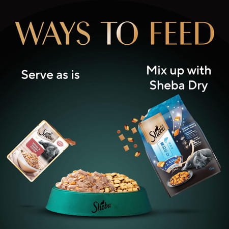 Sheba Rich Premium Adult (1+ Years) Wet Cat Food | Skipjack & Salmon Flavour | 12 X 35 G