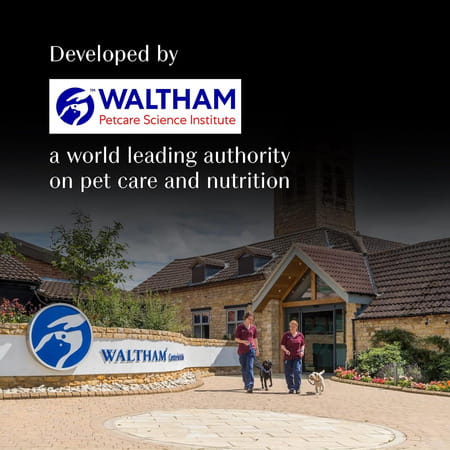 Sheba Rich Premium Adult (1+ Years) Wet Cat Food | Skipjack & Salmon Flavour | 12 X 35 G