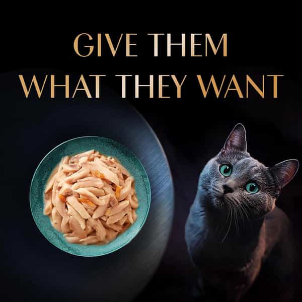 Sheba Rich Premium Adult (1+ Years) Wet Cat Food | Skipjack & Salmon Flavour | 12 X 35 G