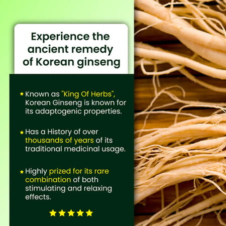 Cipzer Korean Ginseng | Boosts Immunity| Reduces Stress & Supports Mental Wellness | 30 Capsules