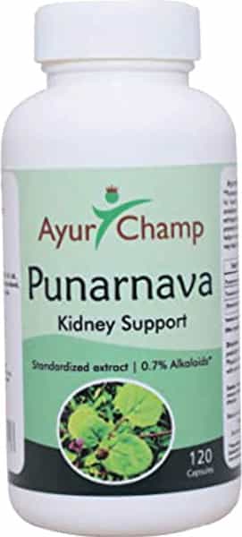 Ayur Champ Stonvedic - 900 Tablets