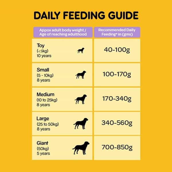 Pedigree Senior (7+ Years) Dry Dog Food Food- Chicken & Rice 1.2Kg Pack