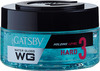 Gatsby Water Gloss Hard 30Gm