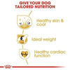 Royal Canin Cocker Adult Dog Food | 3 Kg