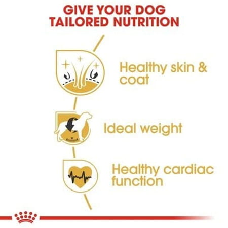 Royal Canin Cocker Adult Dog Food | 3 Kg