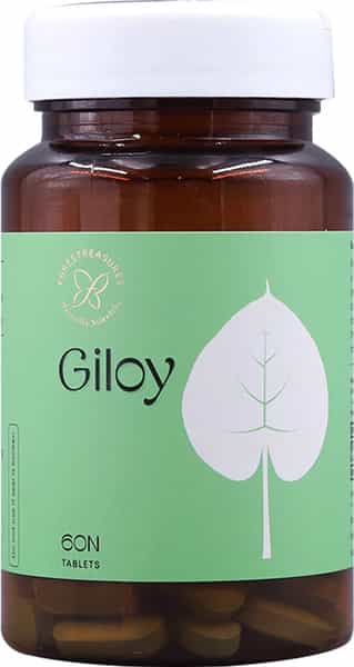Forest Secrets Giloy | 100% Natural | Powerful Antioxidant | Natural Immunity Booster - 60N