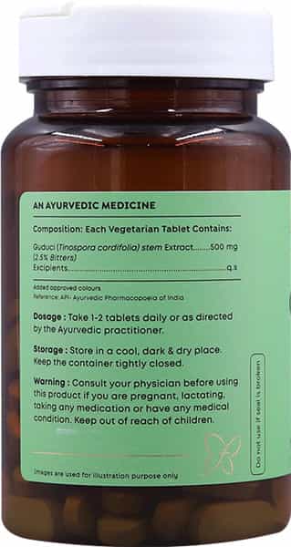 Forest Secrets Giloy | 100% Natural | Powerful Antioxidant | Natural Immunity Booster - 60N