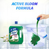 Lizol Jasmine Disinfectant Floor Cleaner Bottle Of 2 L