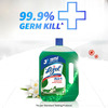 Lizol Jasmine Disinfectant Floor Cleaner Bottle Of 2 L