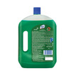 Lizol Jasmine Disinfectant Floor Cleaner Bottle Of 2 L