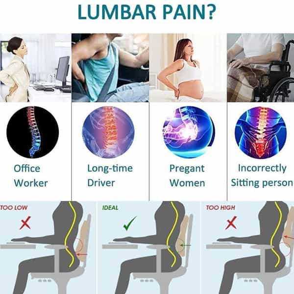Chevalier Lumbar Support Backrest Compatible With Car | Office Chair - Universal Size - Black