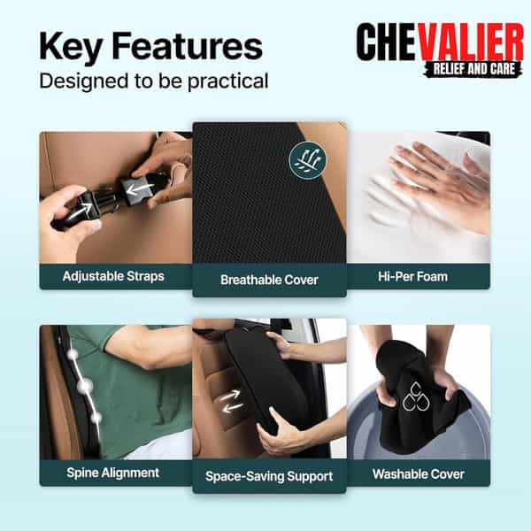 Chevalier Lumbar Support Backrest Compatible With Car | Office Chair - Universal Size - Black