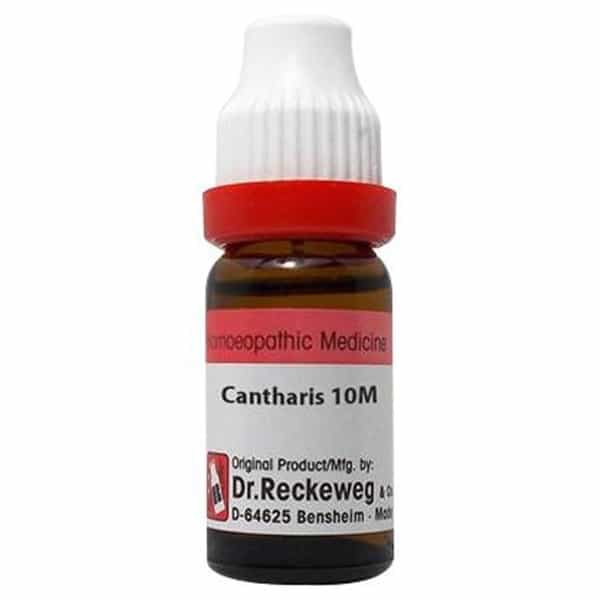 Dr. Reckeweg Cantharis Dilution 10M Ch 11 Ml