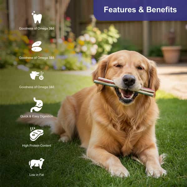 Snackers Non Rawhide Chews Lotus Root Stick Dog Treats | 225 G