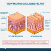 Myfitfuel Hydrolyzed Marine Collagen +Glucosamine, Hyaluronic, Biotin, Vitamin C (400Gm, Unflavored)