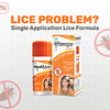 Medilice Lice Killer Shampoo 30 G