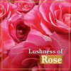 Lux Rose & Vitamin E Soap - 150 G (Pack Of 3)
